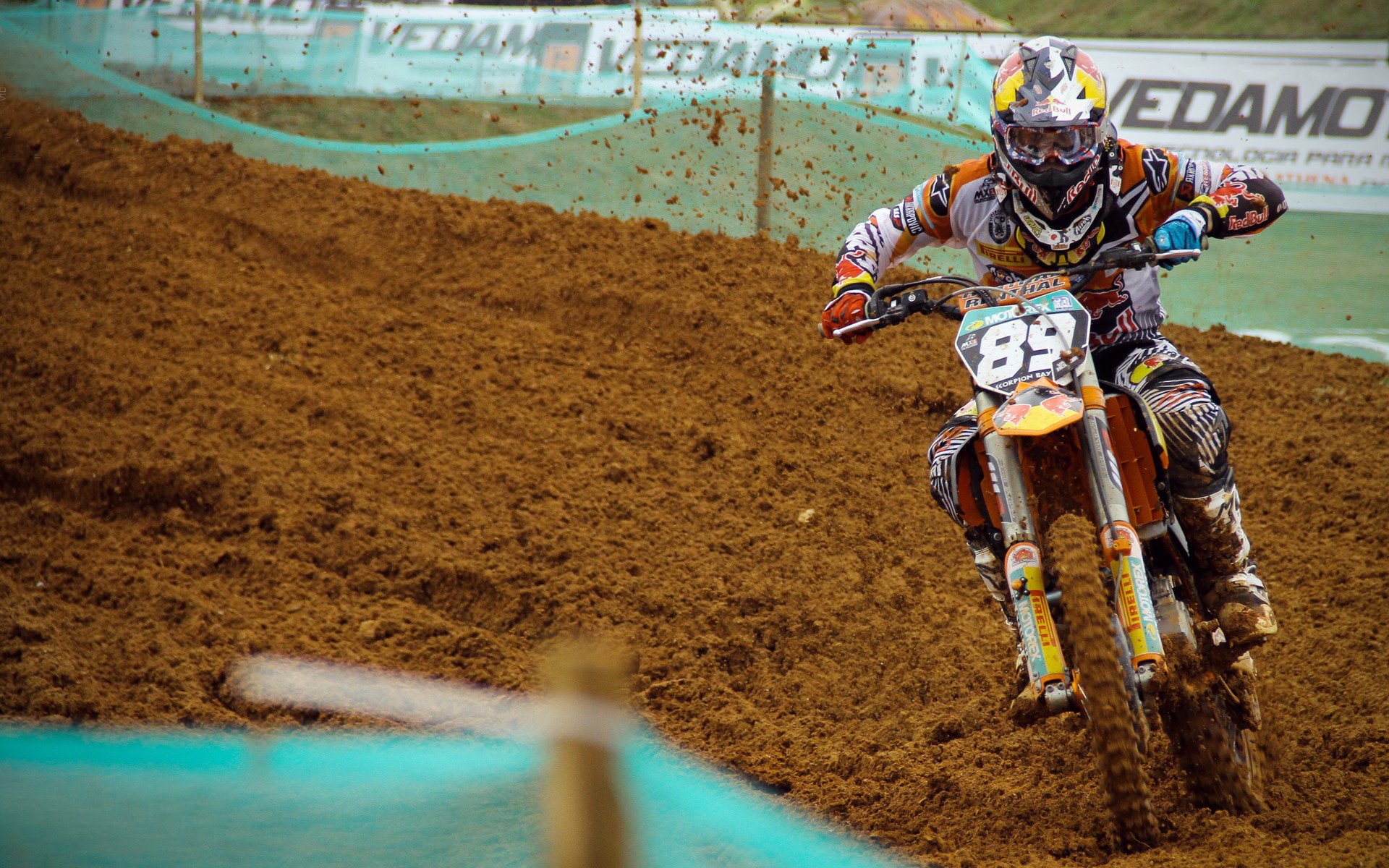 科维托娃迎来十二赛季高光表现，塞尔维亚队球迷沸腾！